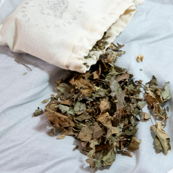 Refil Chá Infusão Chai de Dormir - 50g